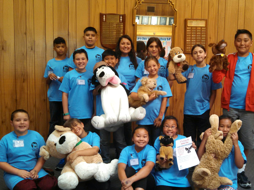Pawsitively Fun Adventures Summer Camp 2