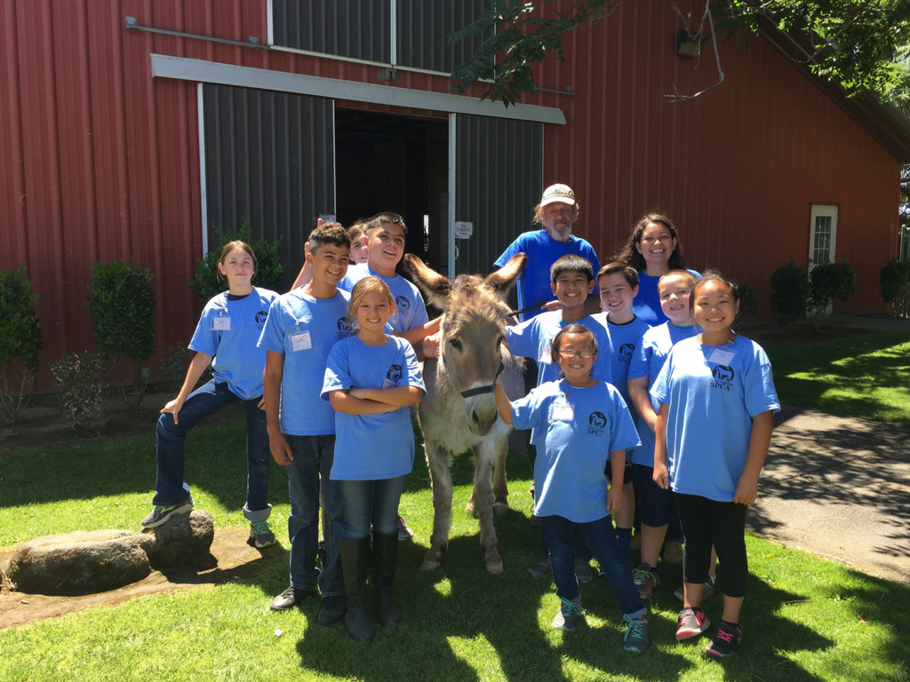 Pawsitively Fun Adventures Summer Camp 3