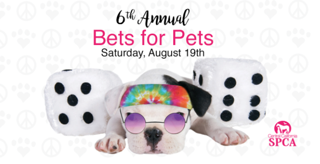 bets-for-pets