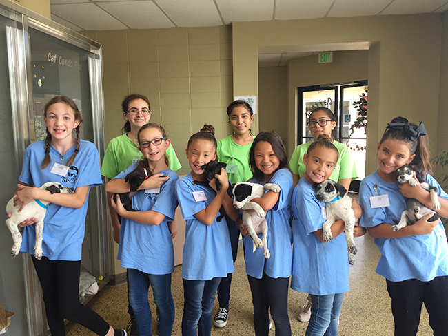summer-camp-ccspca2