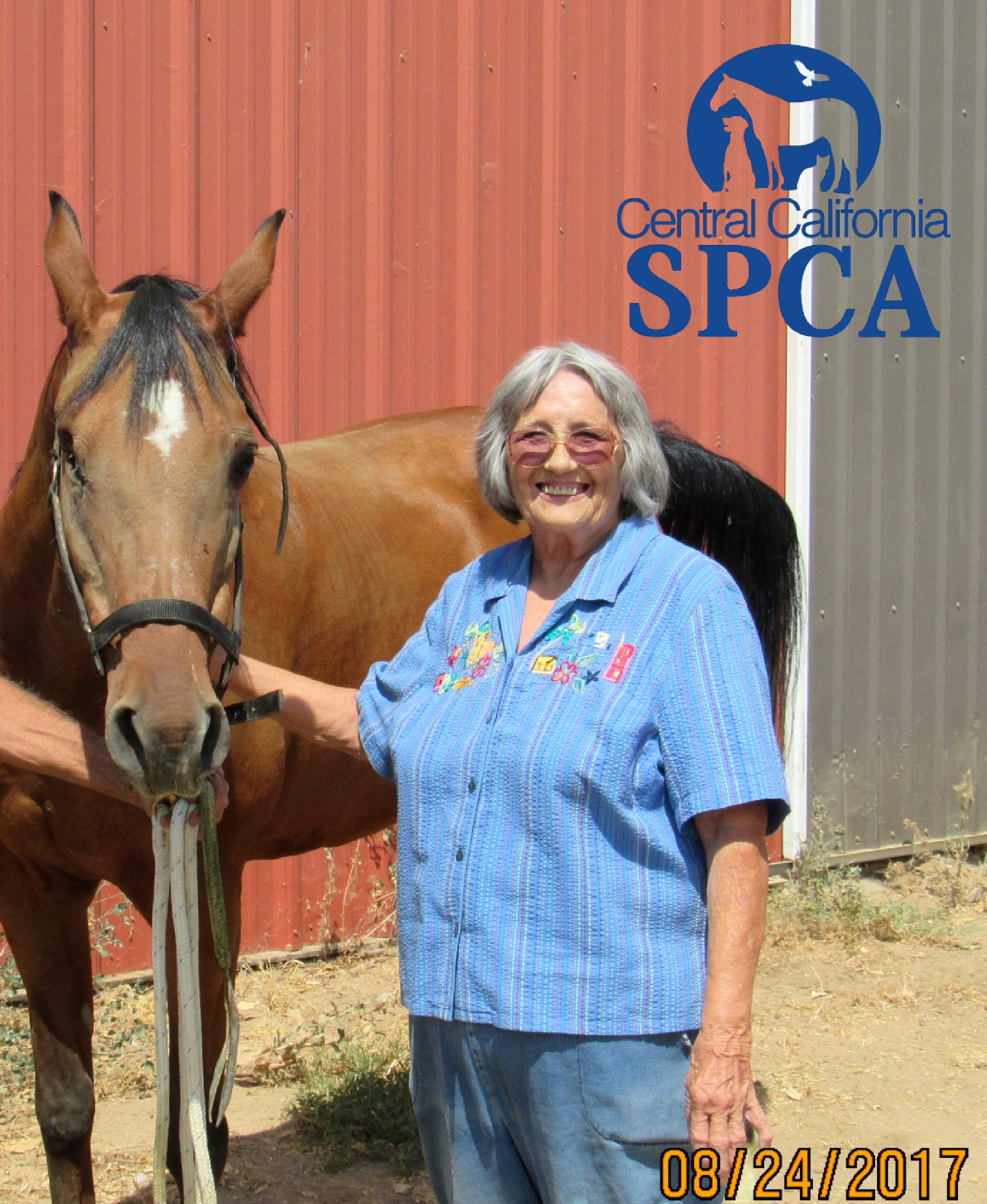 Popeye Has Found His Forever Home 2
