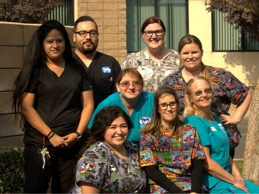 National Veterinary Staff Appreciation Week