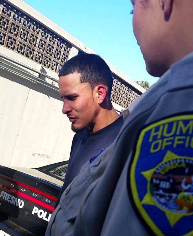 Suspect Arrested in Alleged Dog Beating