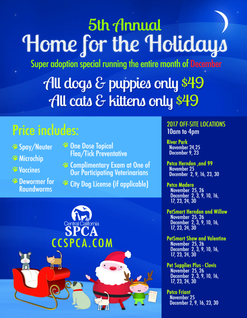 Home for the Holidays Ad 2017.Final