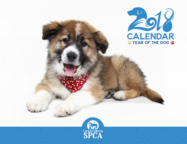 2018 CCSPCA Calendar