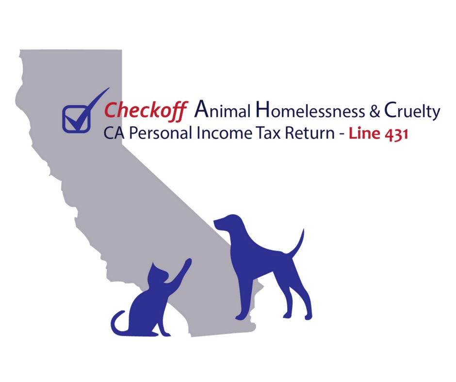 Help the CCSPCA This Tax Season