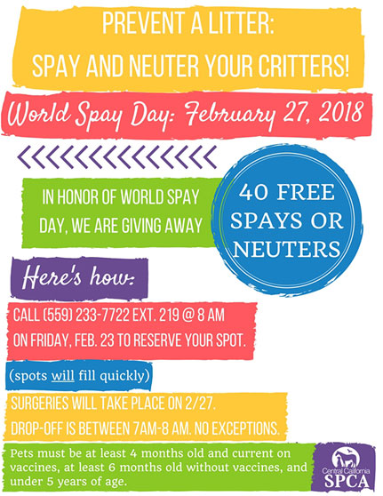 CCSPCA to Celebrate World Spay Day With FREE SpaysNeuters!