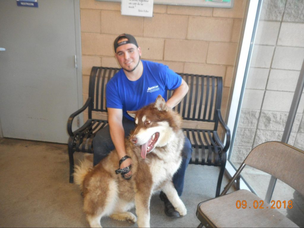 CCSPCA Reunites Lost Dogs With Happy Owners 3