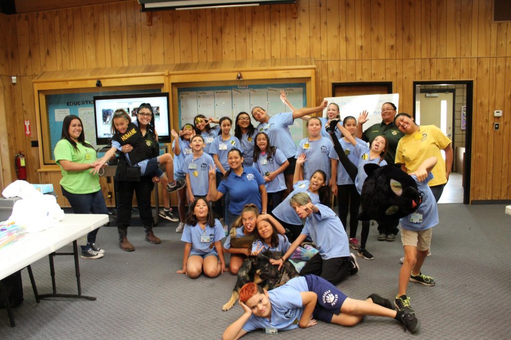 Paw-stitive Adventures Animal Camp 4