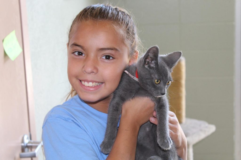 Paw-stitive Adventures Animal Camp 2