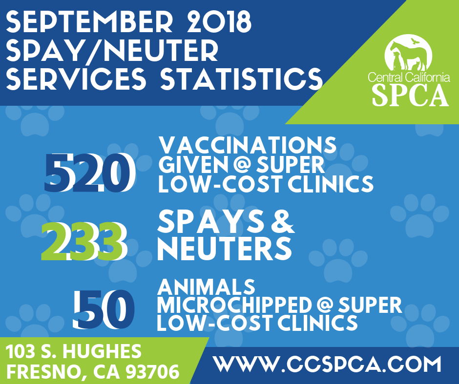 Thank You, SpayNeuter Services! 2