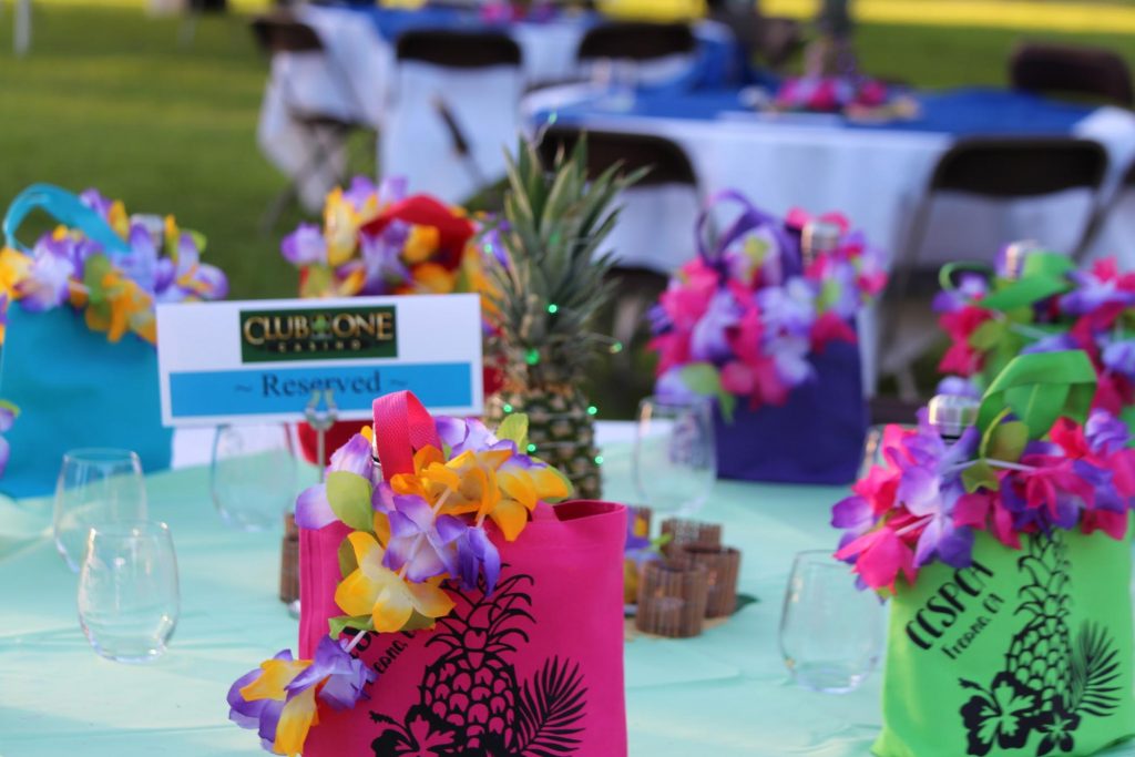 A Tropical Evening in Paradise-Bets for Pets 2018 Recap 3