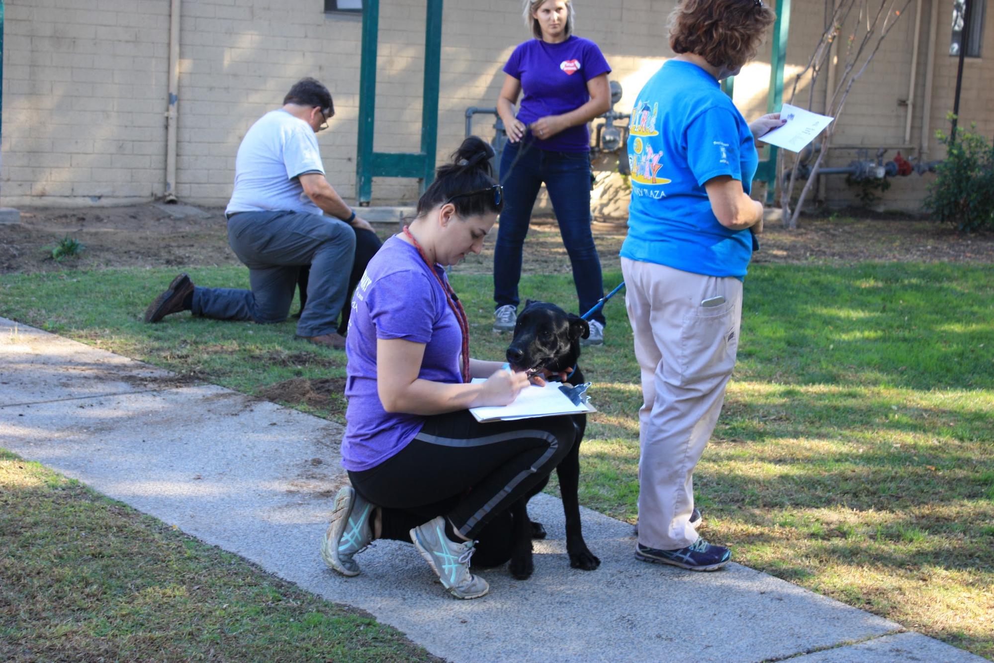 #CCSPCARescueTails - RescuePalooza 3