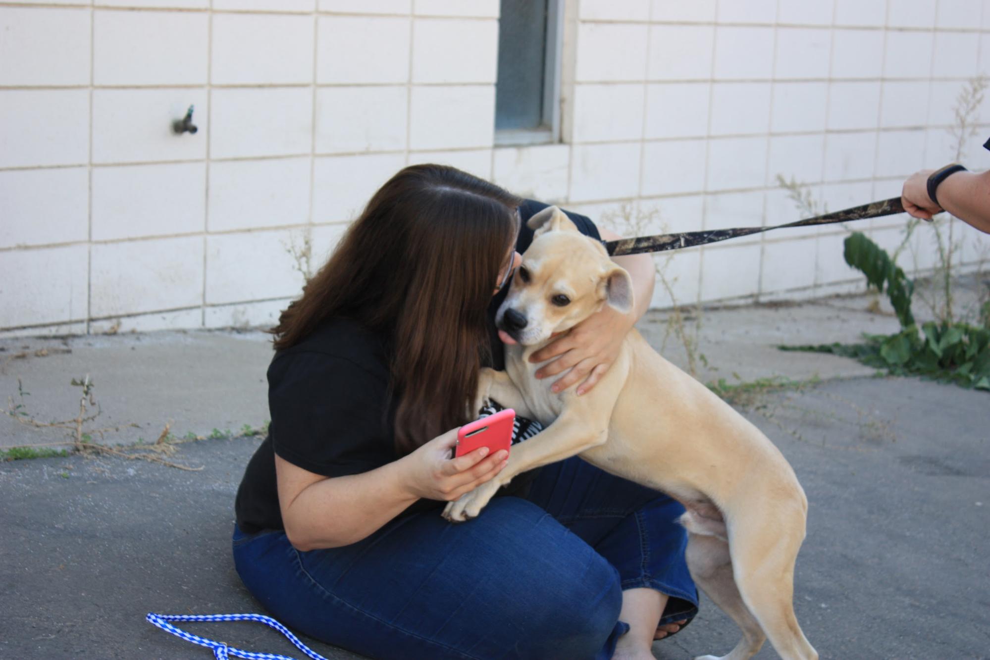 #CCSPCARescueTails - RescuePalooza