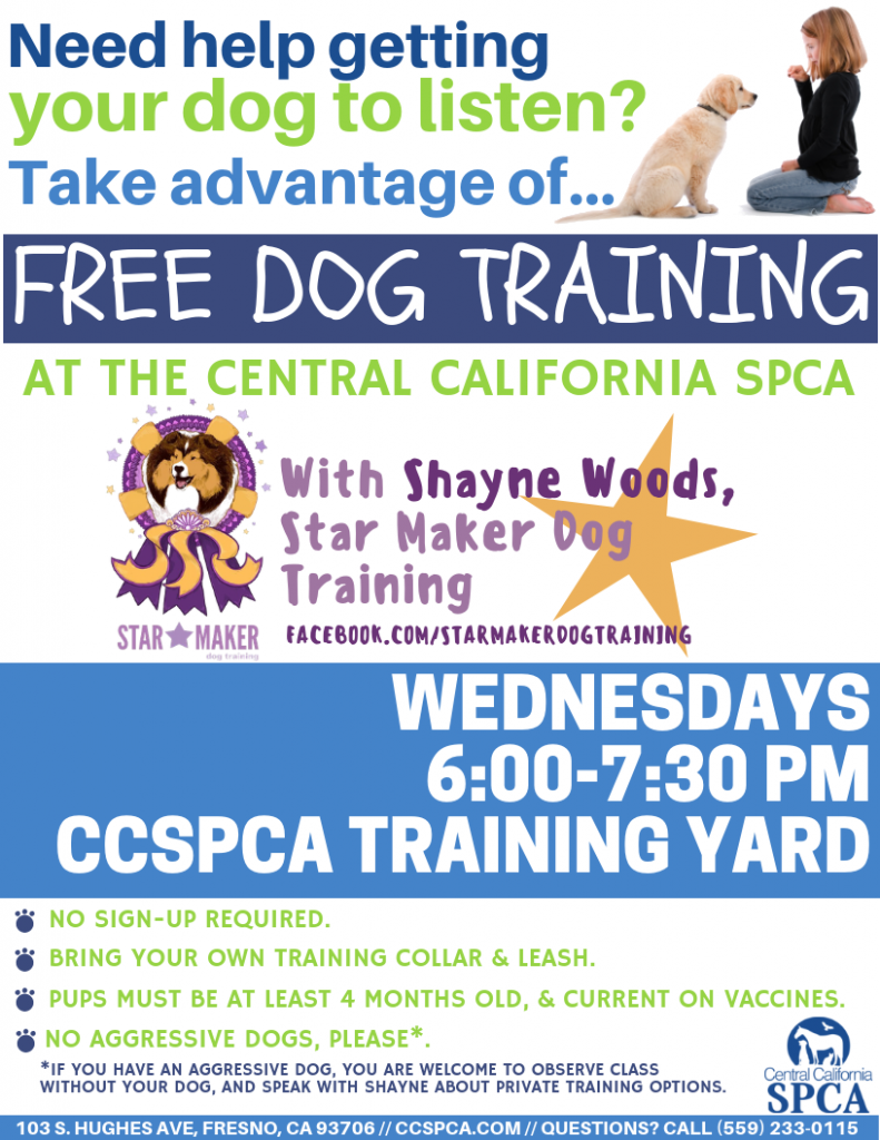 Free Dog Training