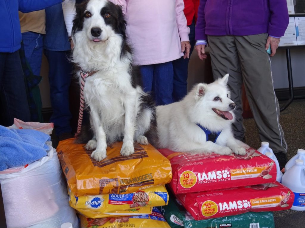 Thank You, Canine Agility Club of Fresno! 2
