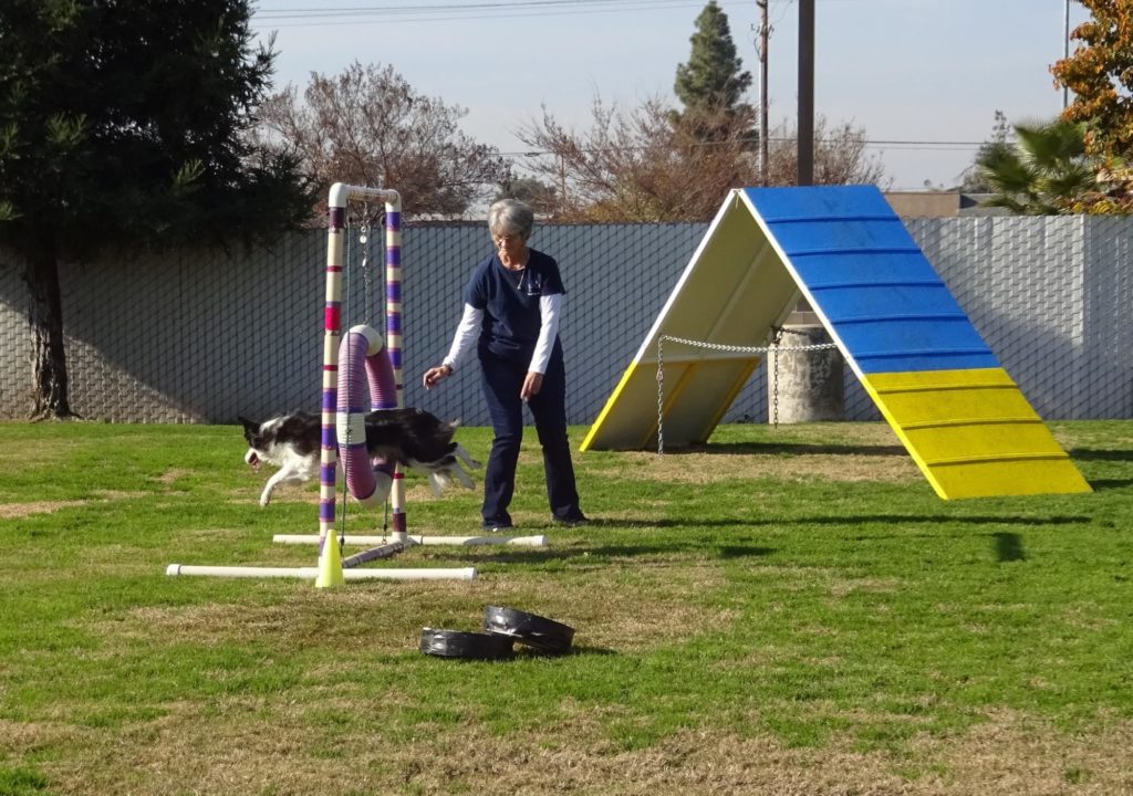 Thank You, Canine Agility Club of Fresno! 3