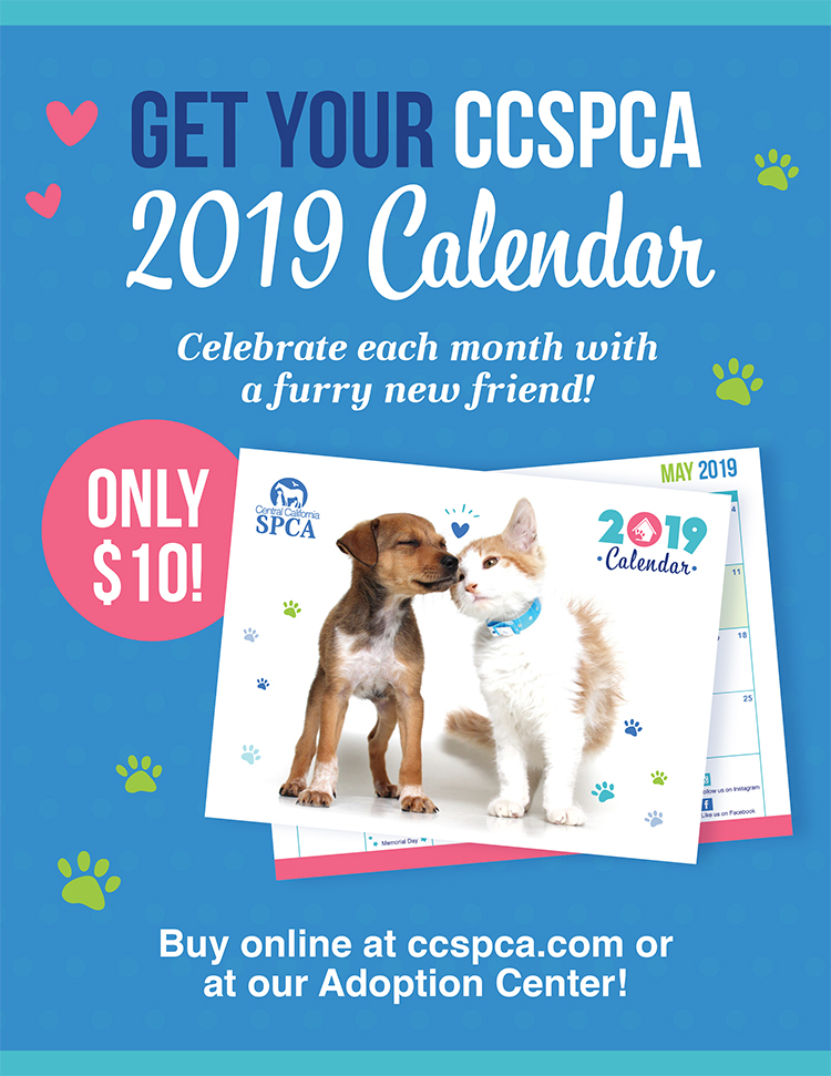 CCSPCA-Calendar_Ad