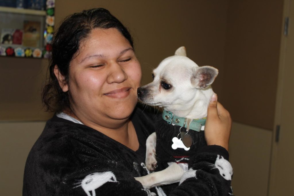 World Spay Day Recap 5