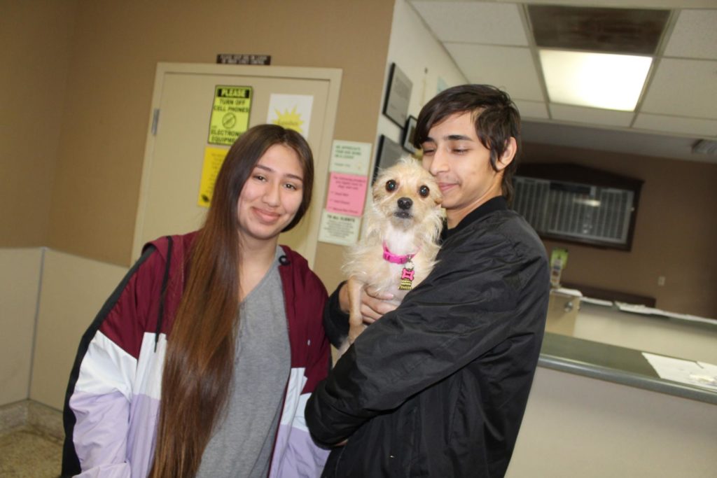 World Spay Day Recap 2