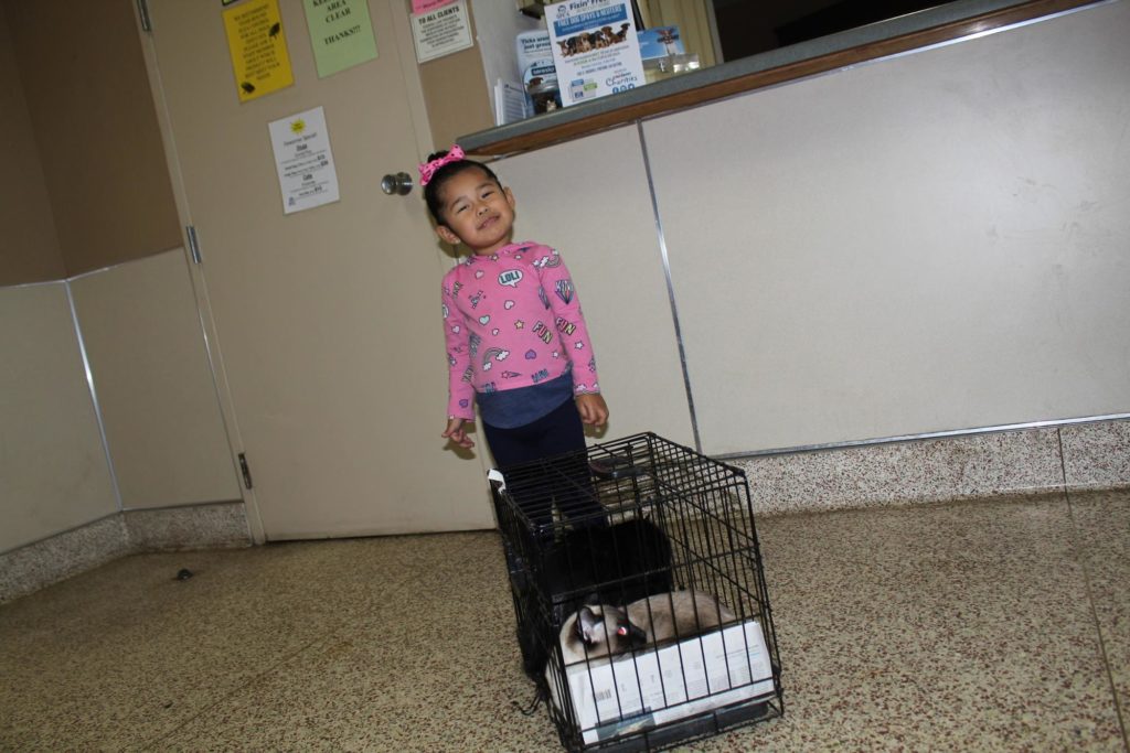 World Spay Day Recap 7