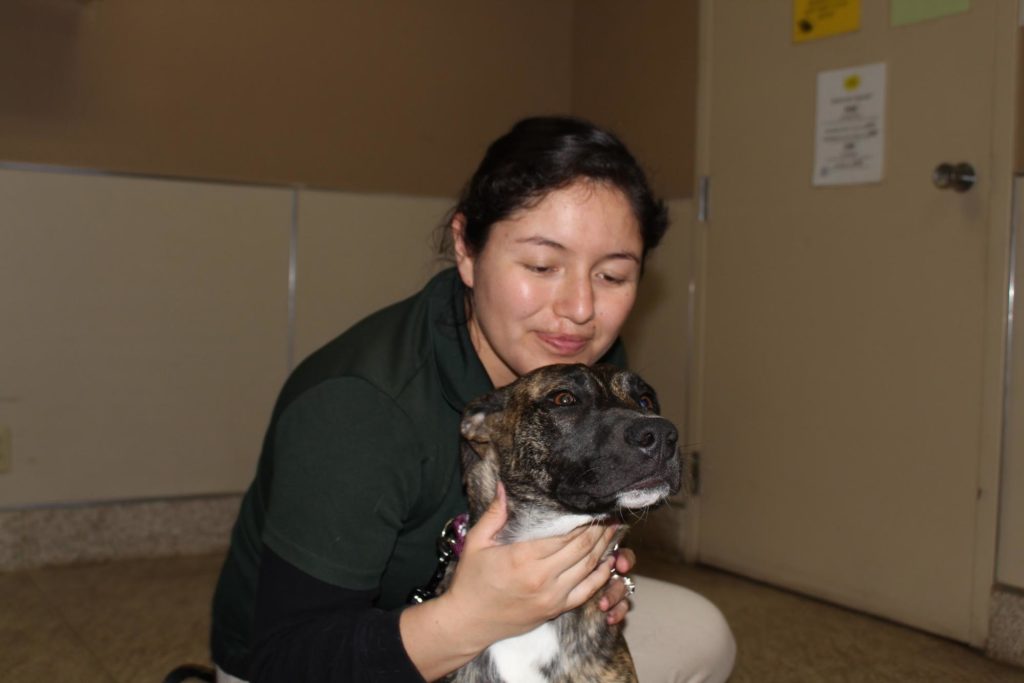 World Spay Day Recap 6