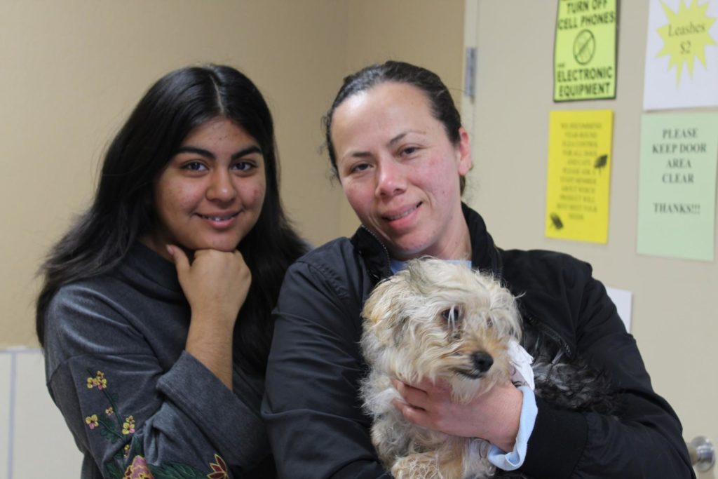 World Spay Day Recap 3