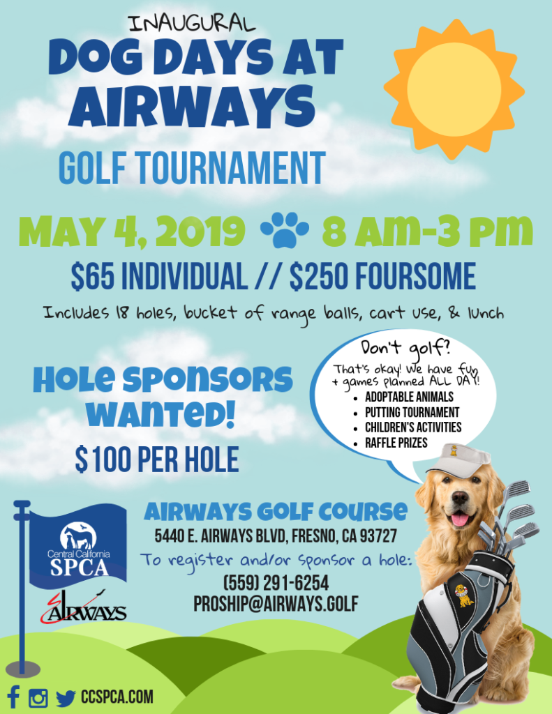 Save the Date Dog Days at Airways