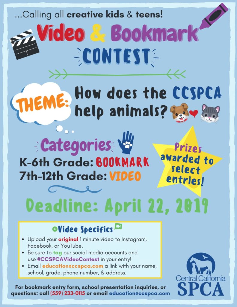 Video and Bookmark Contest