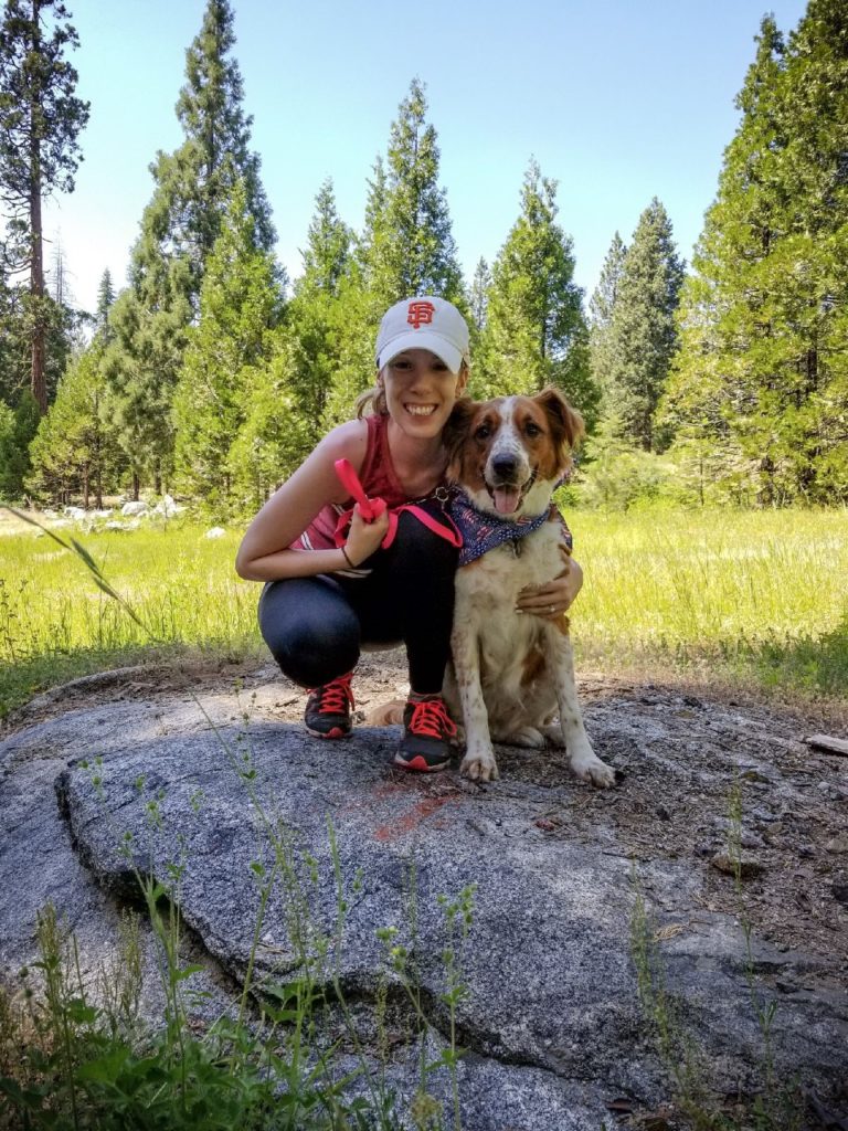 Adoption Pupdate Willow the Therapy Dog