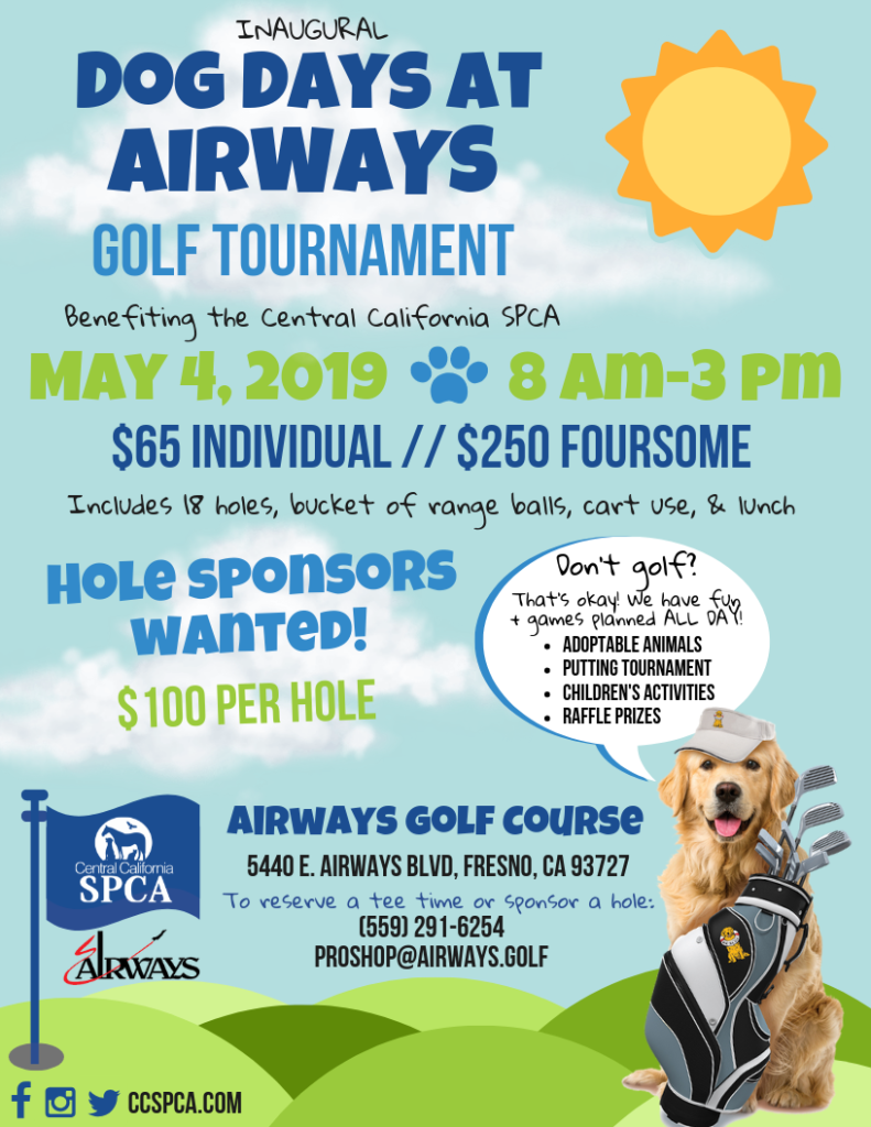 Dog Days at Airways
