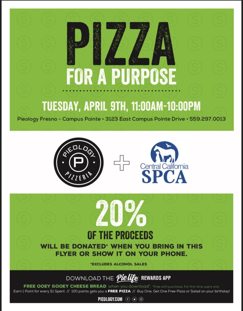 Pieology
