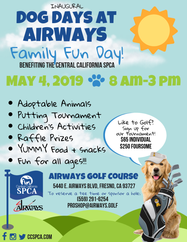 Dog Days at the Airways