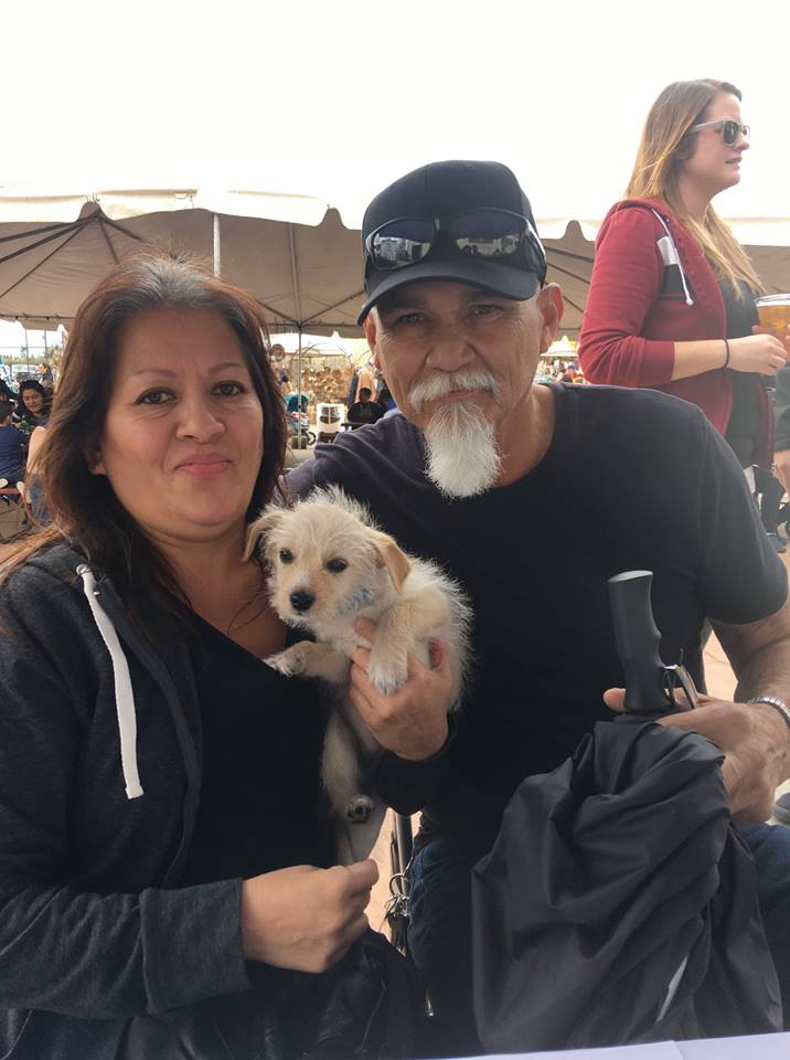 Happy Home Show Adoptions 1