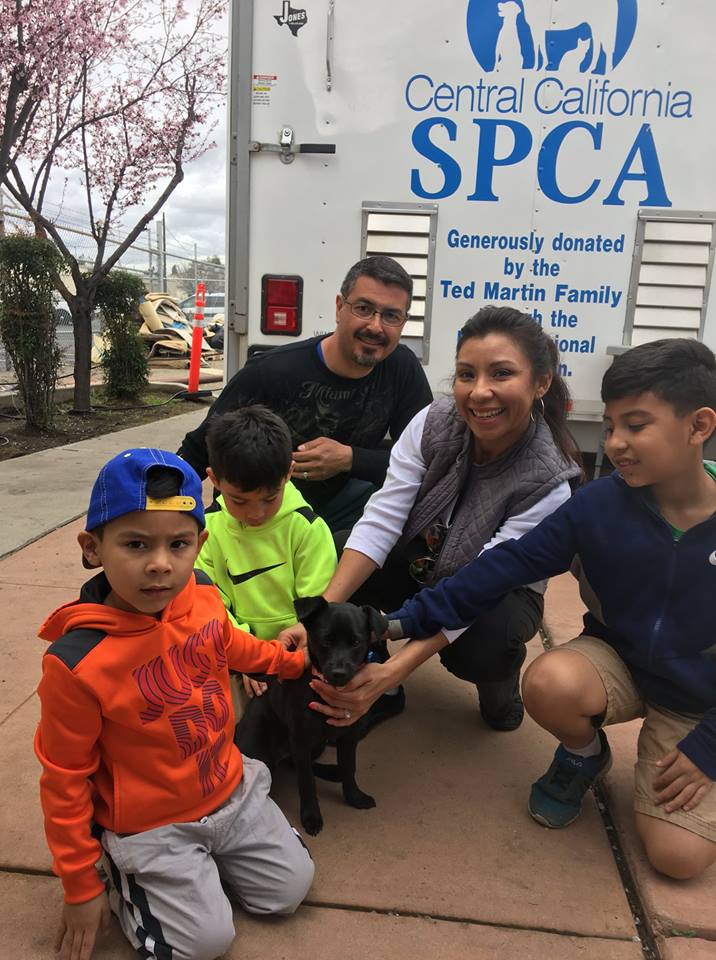 Happy Home Show Adoptions 2