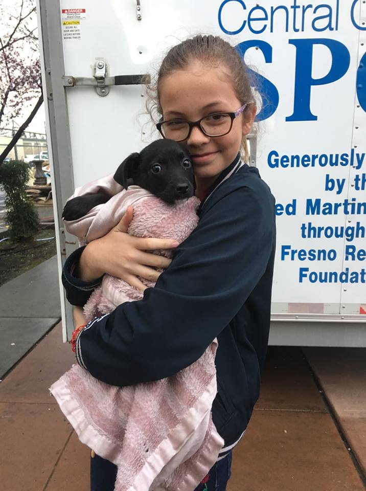 Happy Home Show Adoptions 4