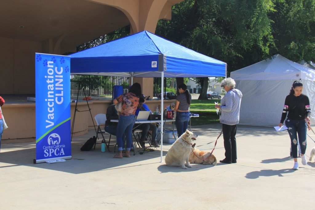 CCSPCA Helps Nearly 150 Dogs at Parlier Vaccination Clinic! 4