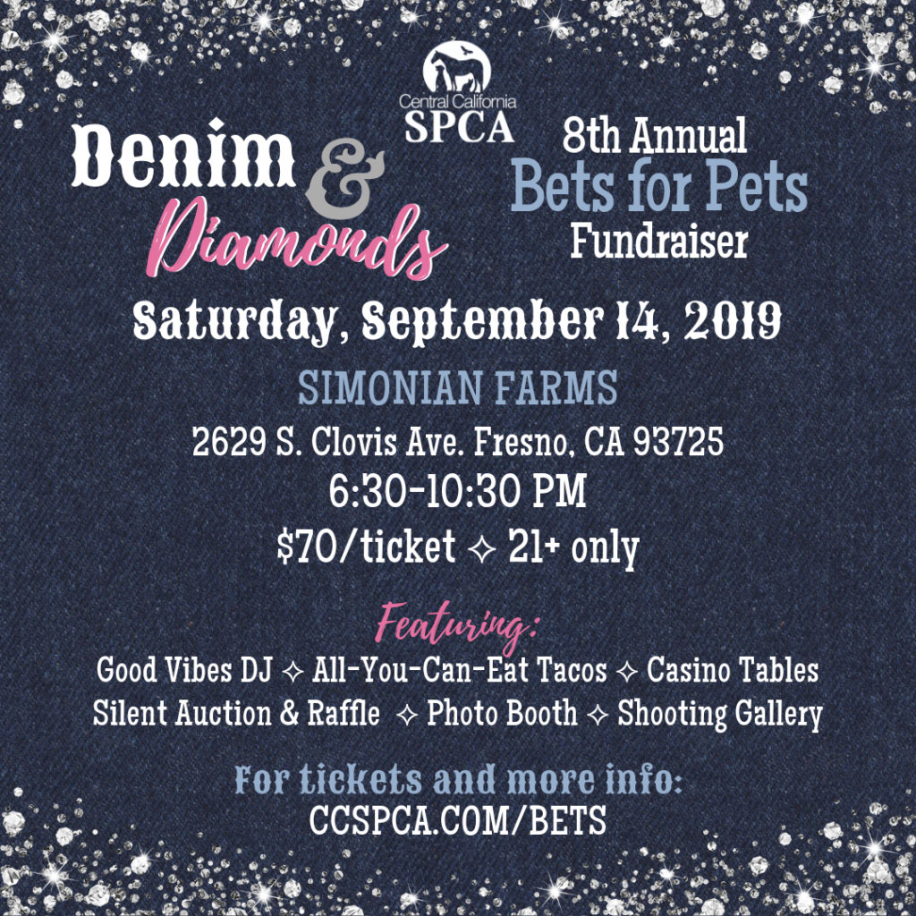 Join us for our 8th Annual Bets for Pets Fundraiser!