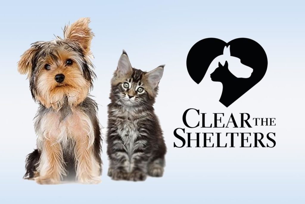 Help us Clear the Shelter on August 17