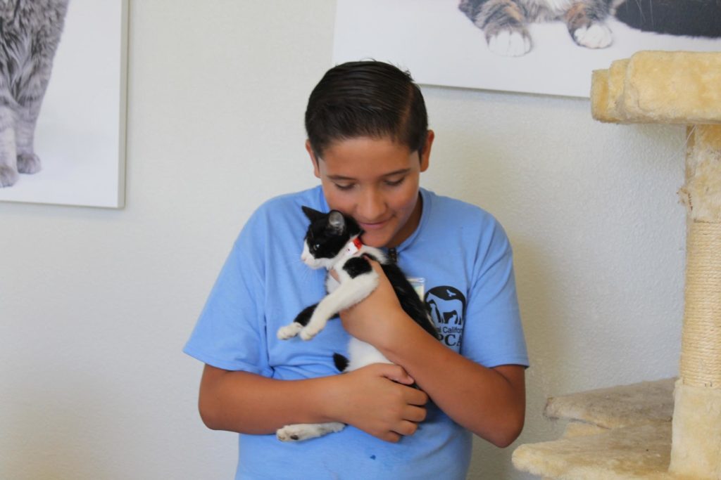 Pawsitive Adventures Camp Recap 3