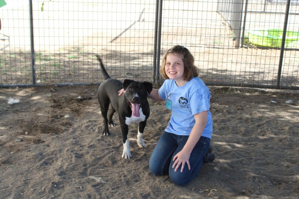 Pawsitive Adventures Camp Recap 5