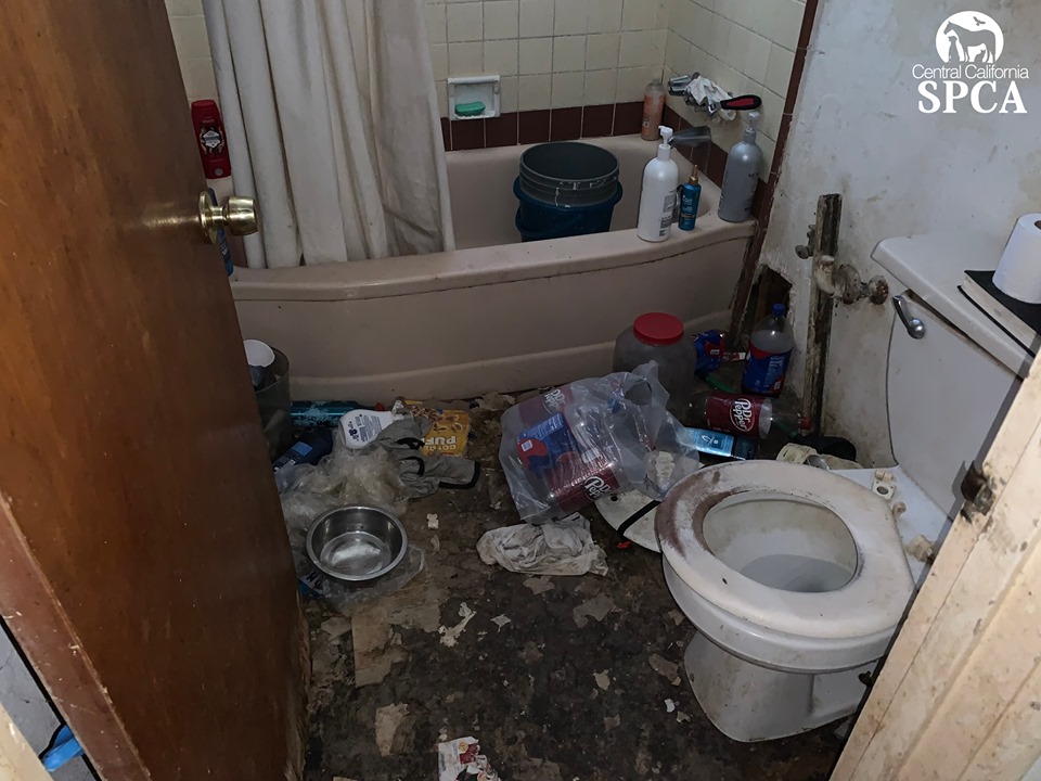 Mayfair Investigation Update 3