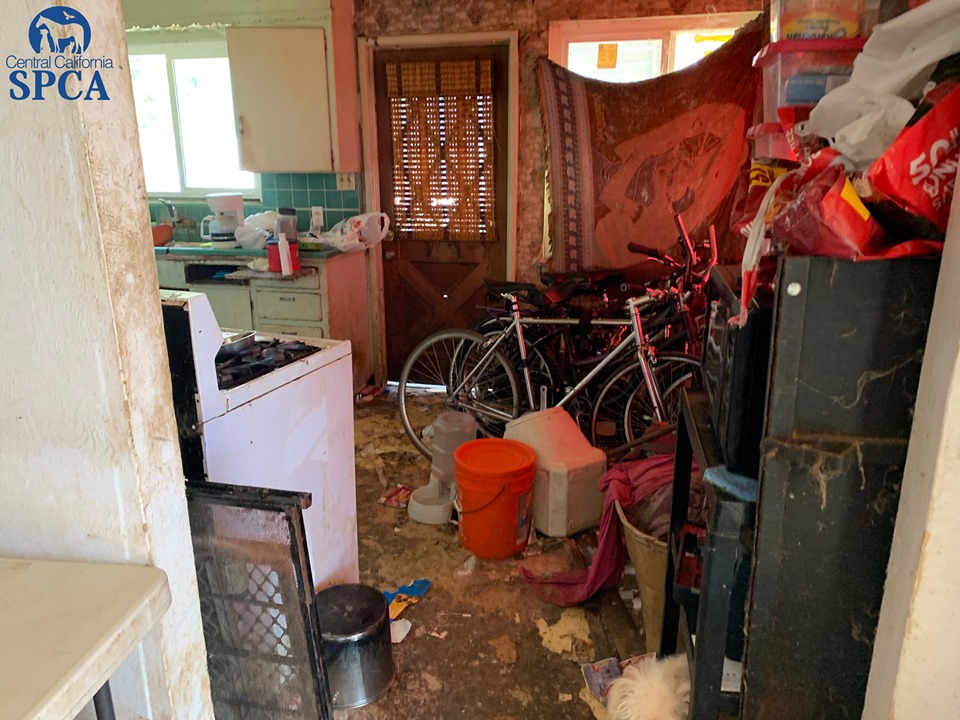 Mayfair Investigation Update 5