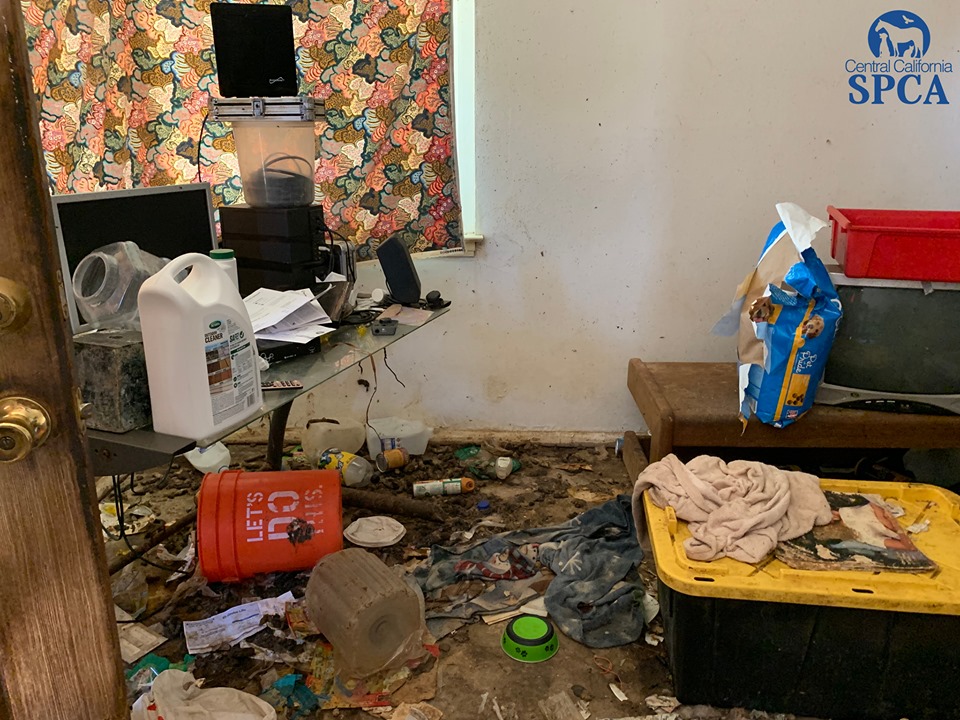 Mayfair Investigation Update 6