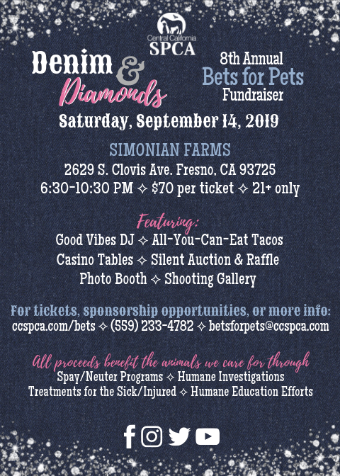 Join us at Bets for Pets on September 14!