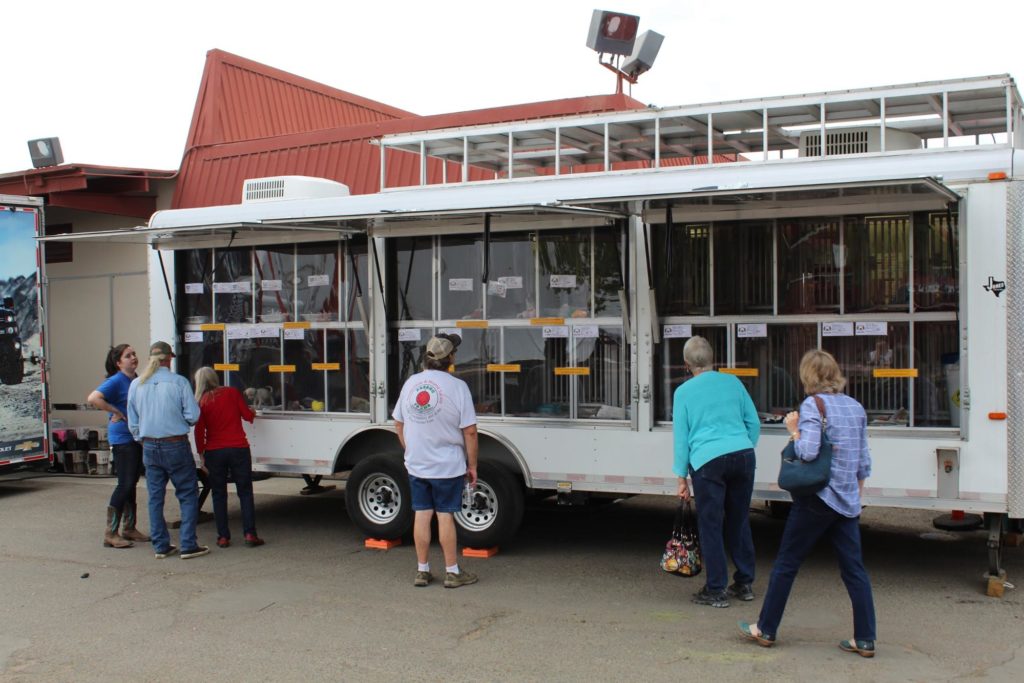 Find us at the Big Fresno Fair! 3