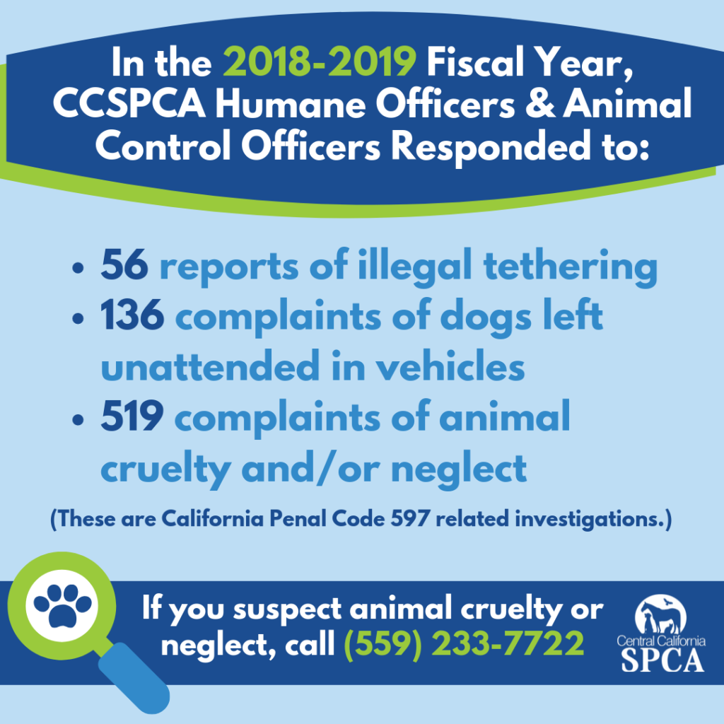 Humane Investigations At-A-Glance