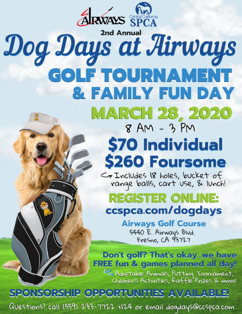 Dog Days at Airways