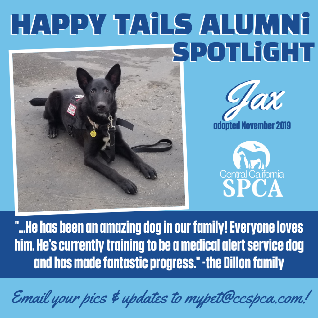 Happy Tails Adoption Update