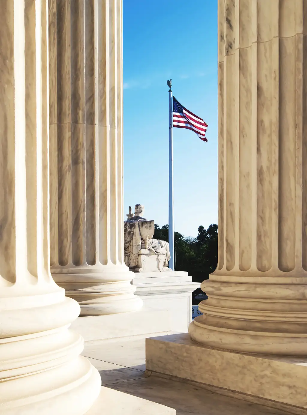 Photo of a government building and American flag.